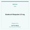Budecort Respules 0.5 mg — Cipla, Respule of 2 ml. Available at Gupta Meds pharmacy, Cuttack.