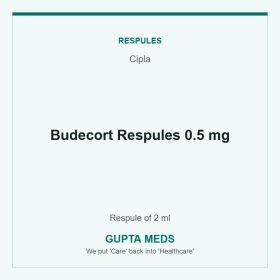 Budecort Respules 0.5 mg — Cipla, Respule of 2 ml. Available at Gupta Meds pharmacy, Cuttack.